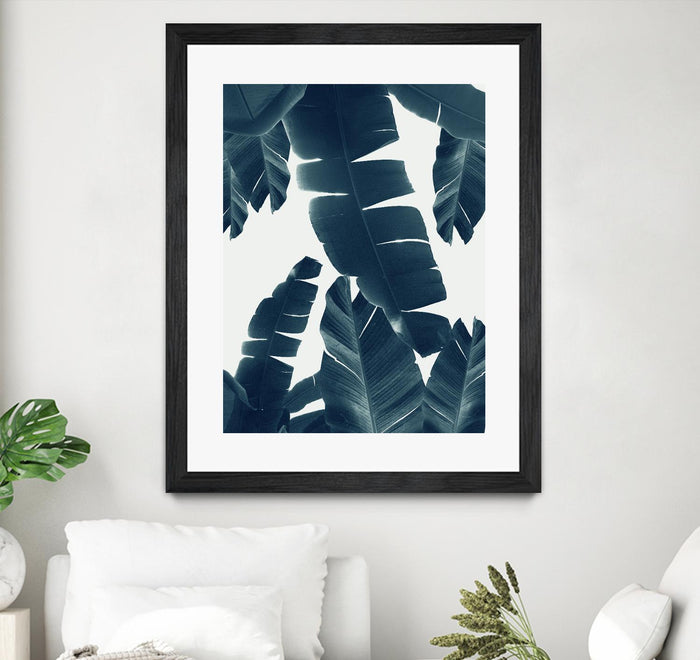 Matted and Framed Black / 20 x 24 inches