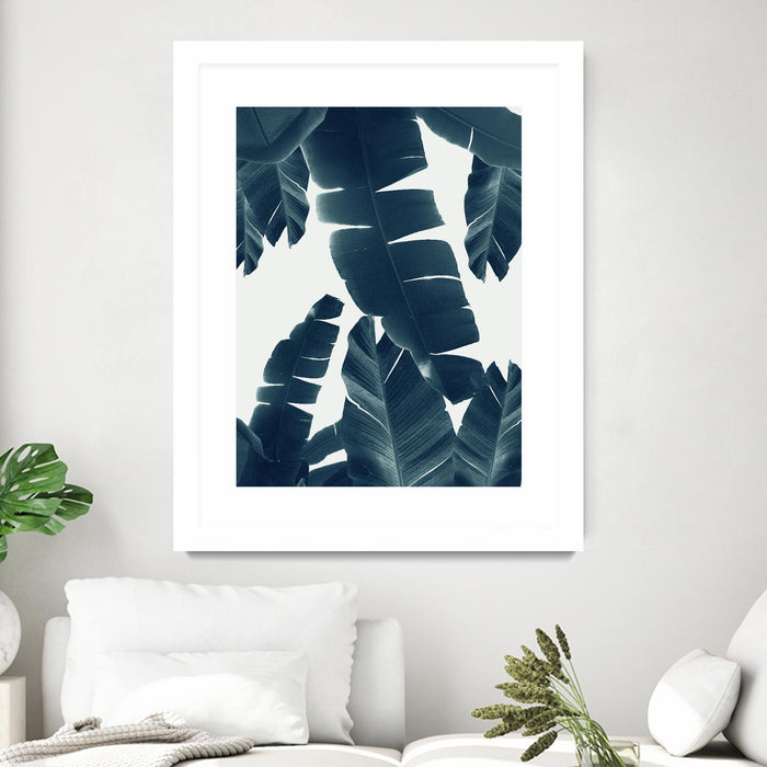 Matted and Framed White / 20 x 24 inches