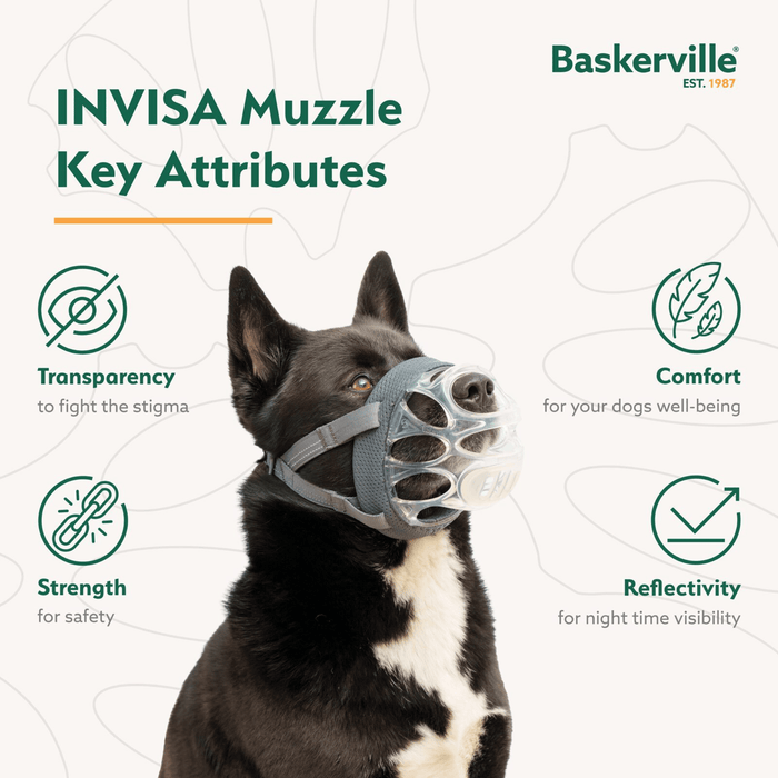 A patterned background with a black and white collie cross dog wearing a clear basket Baskerville INVISA dog muzzle with grey fabric straps with Key Attributes listed around it: Comfort, Transparency, Strength and Reflectivity.