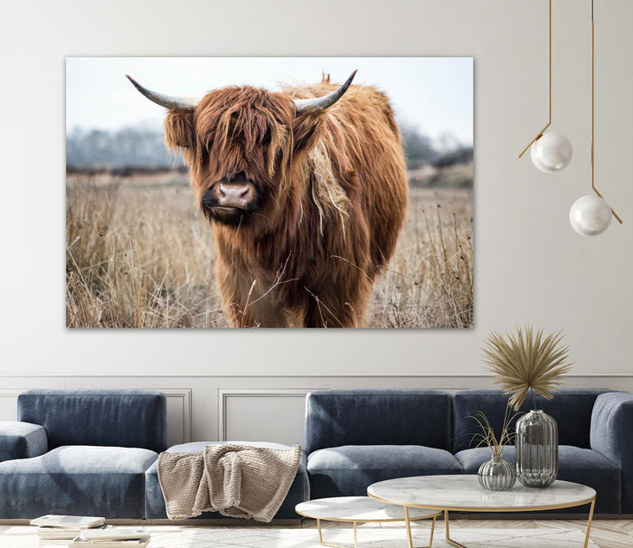 Grazing by Pexels on GIANT ART - black animals