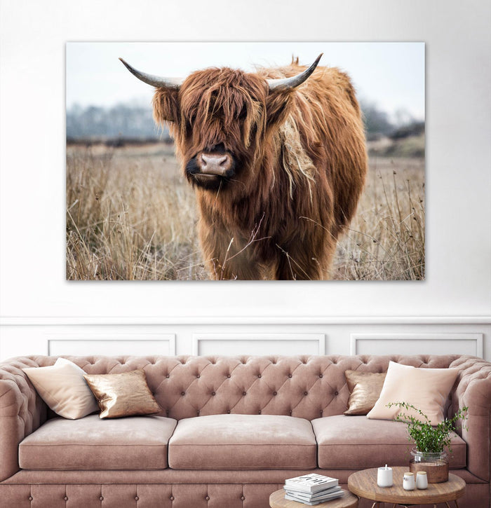 Grazing by Pexels on GIANT ART - black animals
