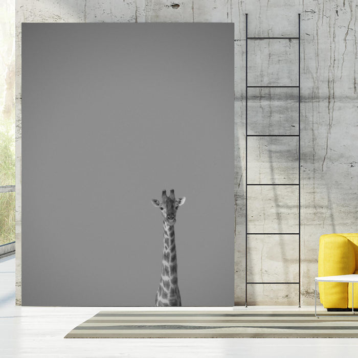 Hello there by Pexels on GIANT ART - black animals