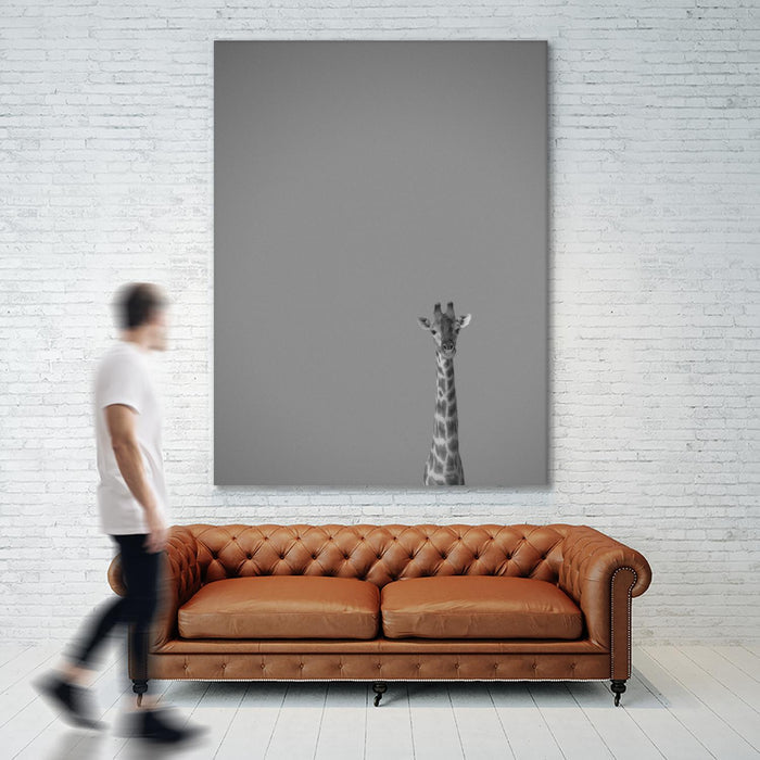 Hello there by Pexels on GIANT ART - black animals