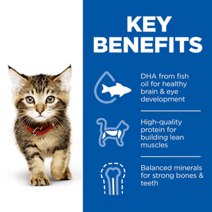 Picture of an tabby kitten wearing a red collar pictured next to a blue section with white text stating 'Key Benefits, DHA from fish oil for healthy brain & eye development, High-quality protein for building lean muscles, Balanced minerals for strong bones & teeth'.