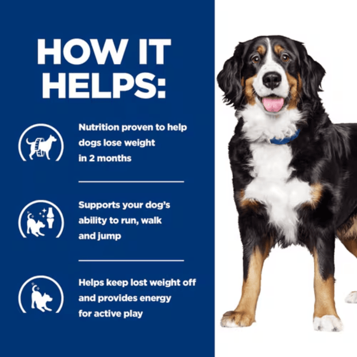 Picture of an adult Bernese Mountain dog pictured next to a blue section with white text stating 'How it helps: Nutrition proven to help dogs lose weight in 2 months, Supports your dog's ability to run, walk and jump, Helps keep lost weight off and provides energy for active play'