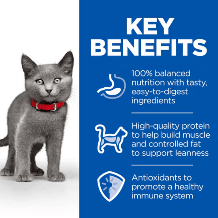 Picture of a grey kitten pictured next to a blue section with white text stating 'Key Benefits, 100% balanced nutrition with tasty, easy-to-digest ingredients, High-quality protein to help build muscle and controlled fat to support leanness, Antioxidants to promote a healthy immune system'.