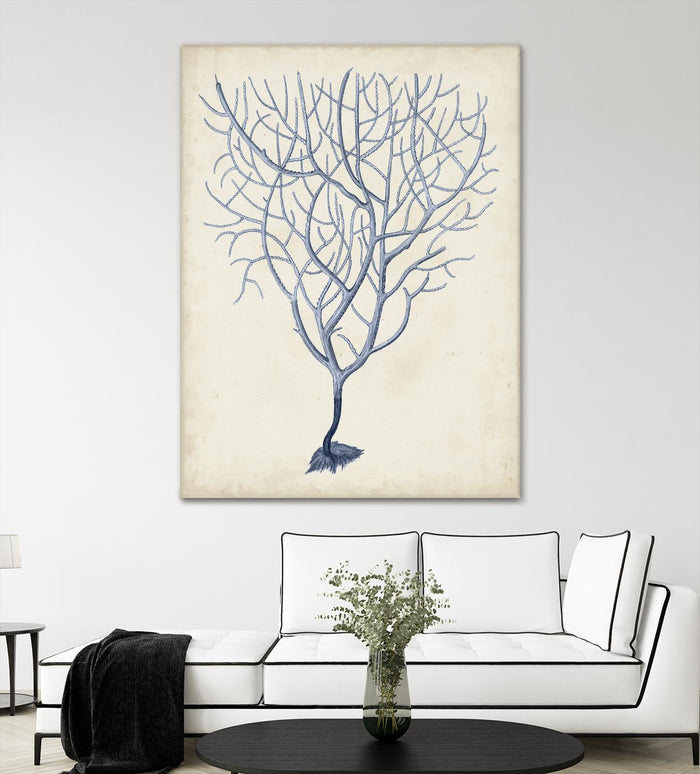 Indigo Coral III by Vision Studio on GIANT ART - blue tropical