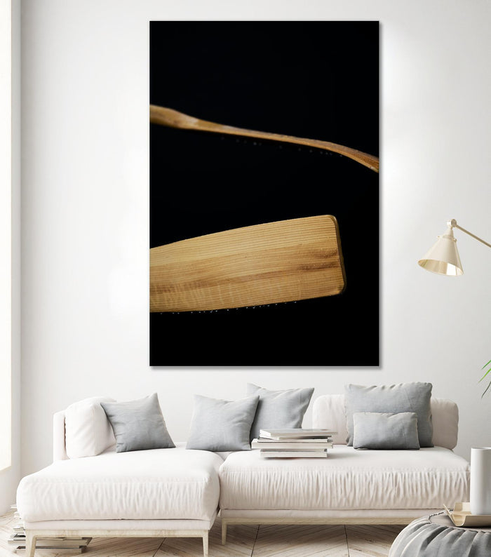 Paddles III by Melissa McClain on GIANT ART - beige photo art