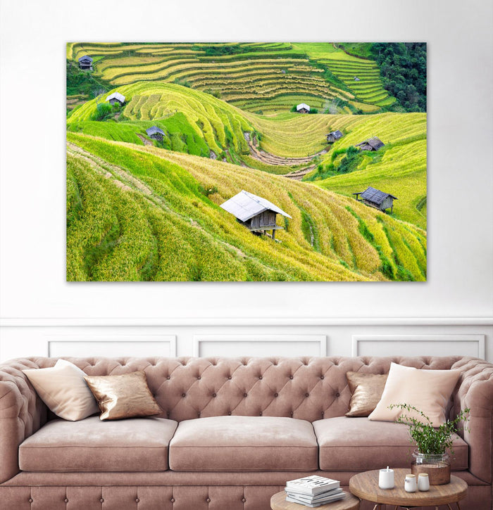 Paddy field valley by Pexels on GIANT ART - yellow landscape