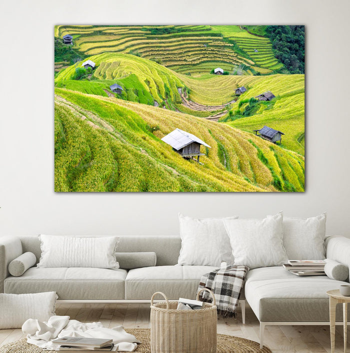 Paddy field valley by Pexels on GIANT ART - yellow landscape