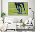 Photograph 2 by Nancy Crowell on GIANT ART - brown animals