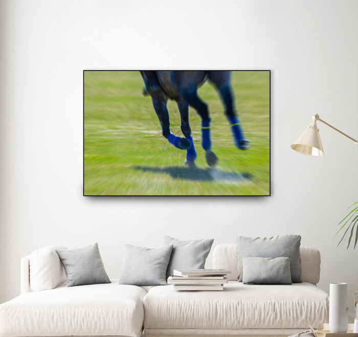 Photograph 2 by Nancy Crowell on GIANT ART - brown animals