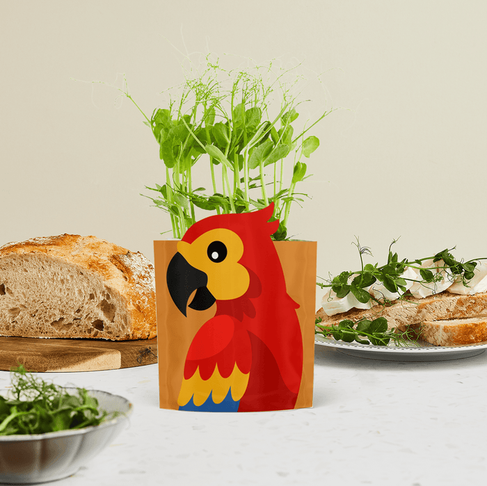 'Polly' Parrot Growable Microgreen Greetings Card