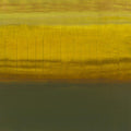 Sense I by Randy Hibberd on GIANT ART - green abstract