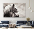 Wild Paint by Erle KaCee on GIANT ART - white animals